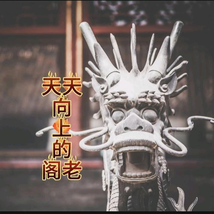 天天向上的阁老