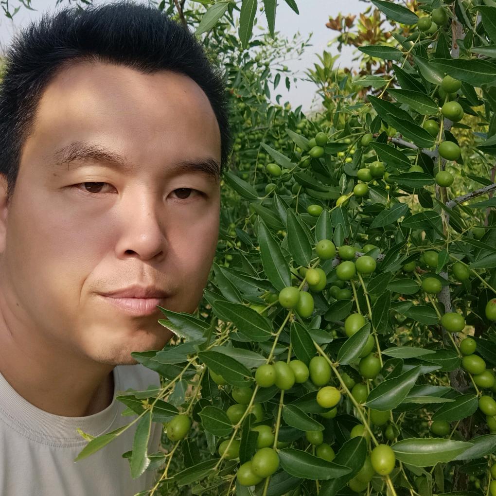 南阳市乐嫁婚庆服务有限公司