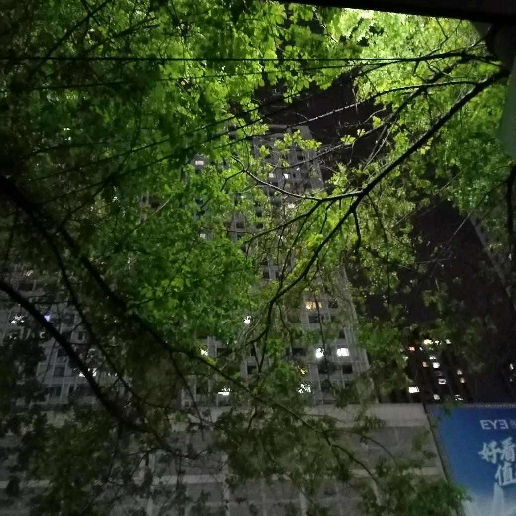 滨海