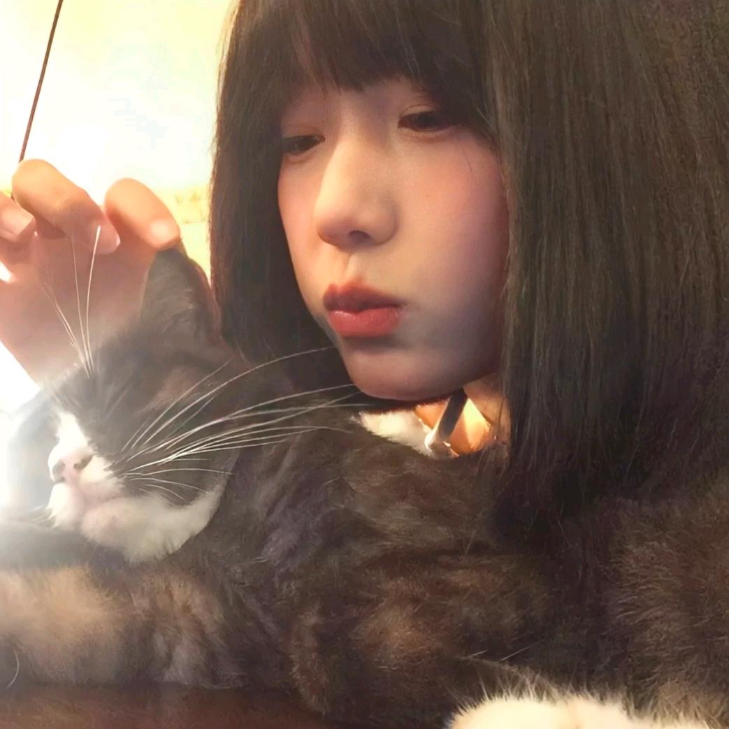 商厦时代广场小象动悟公园