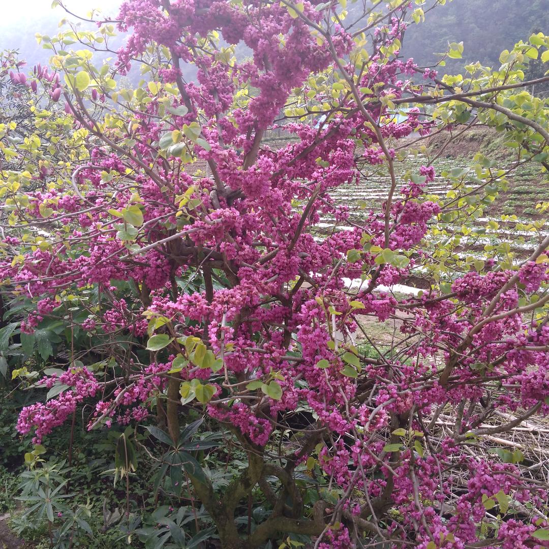 你真我就真不真我转身单身