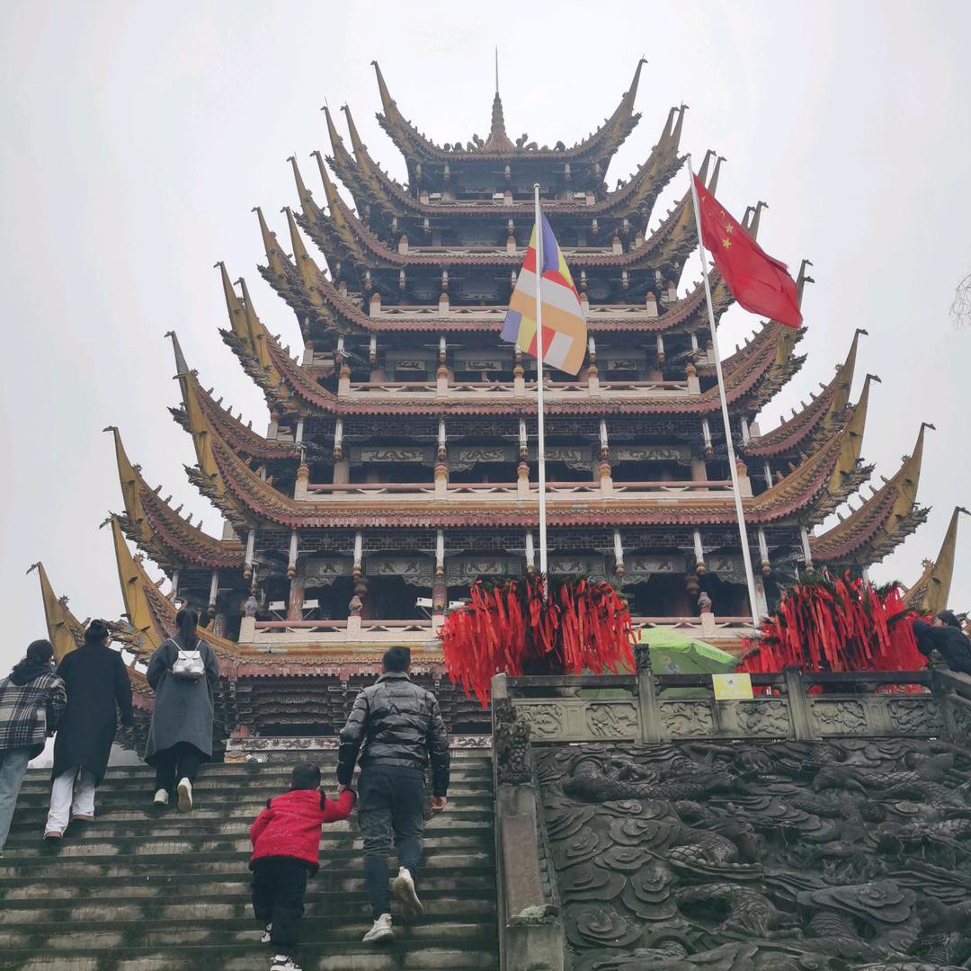 大维哥
