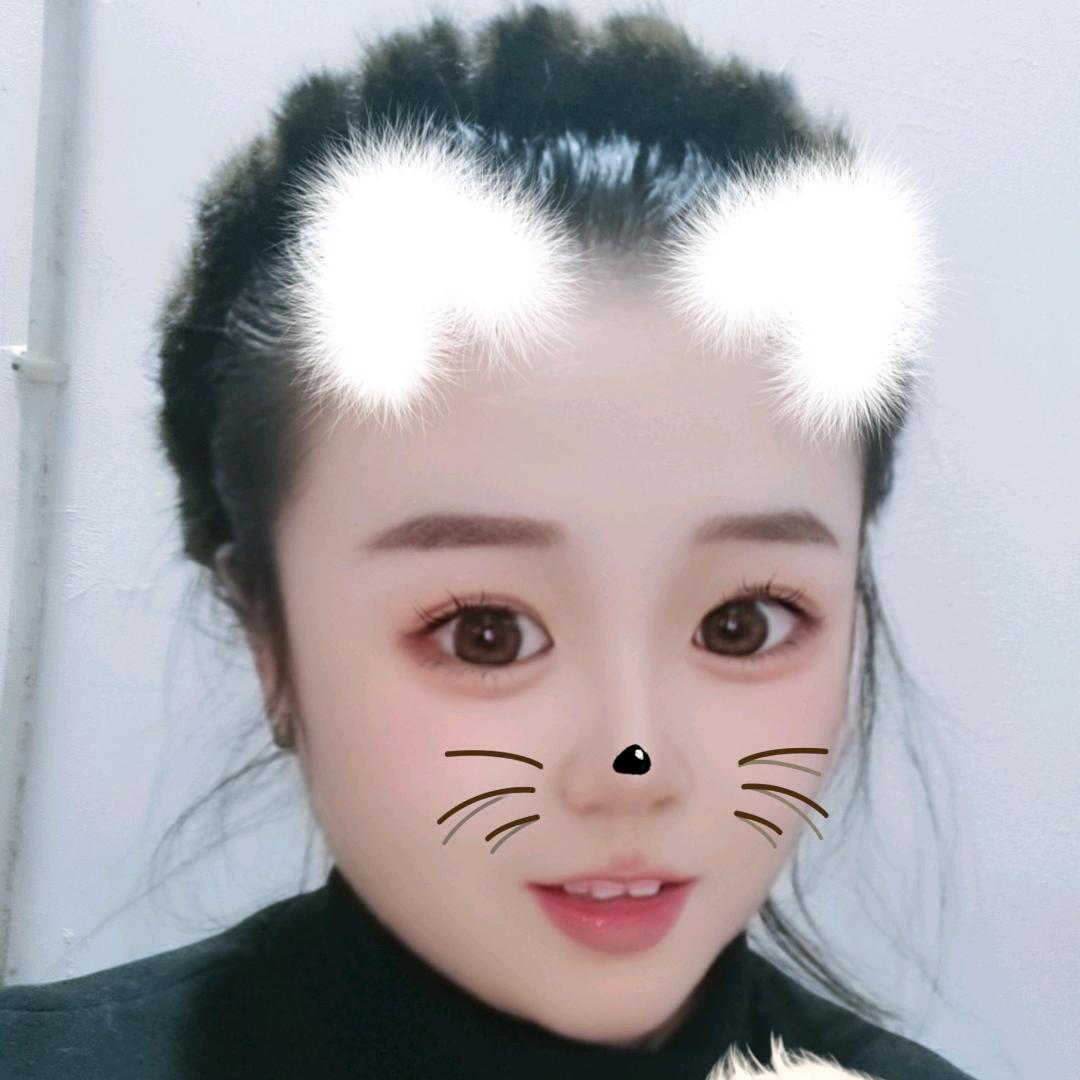 菊子宋