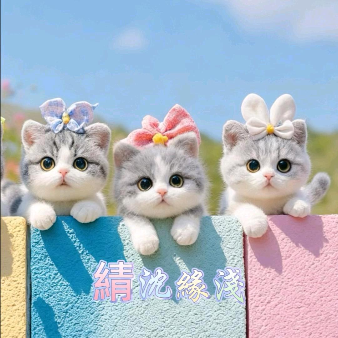 綪沈緣淺💖💖