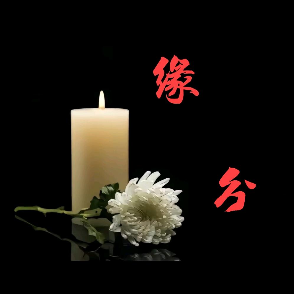 ໑ຼₒ₂4ღ᭄宁洞妹儿🕊꧔ꦿ᭄💞