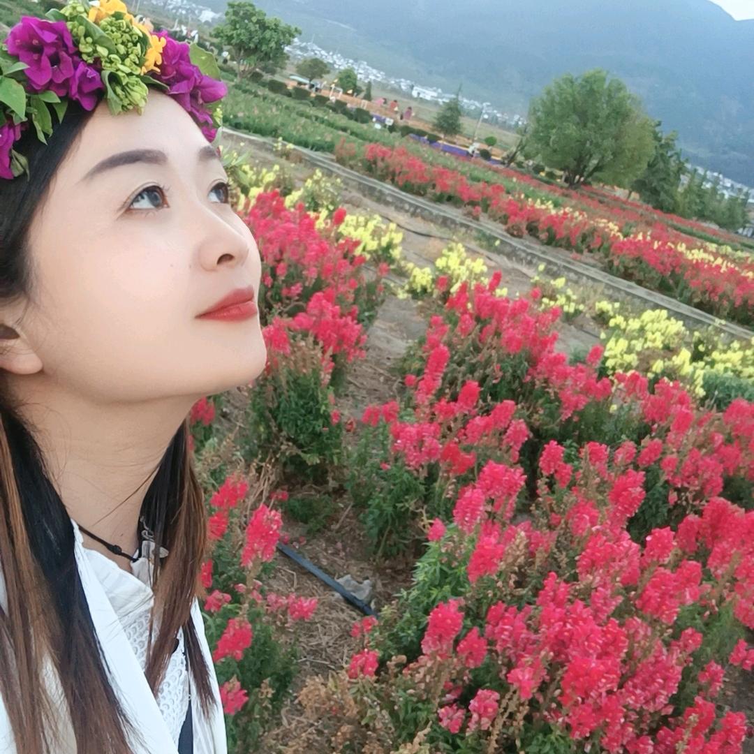 慈周寨战国家电城