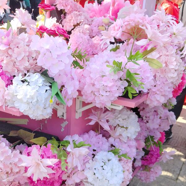🌸小巧玲珑🌸