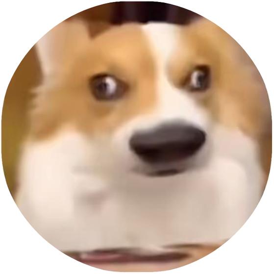 草莓不吃东东呀