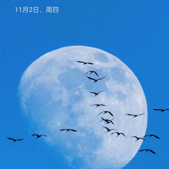 兔兔
