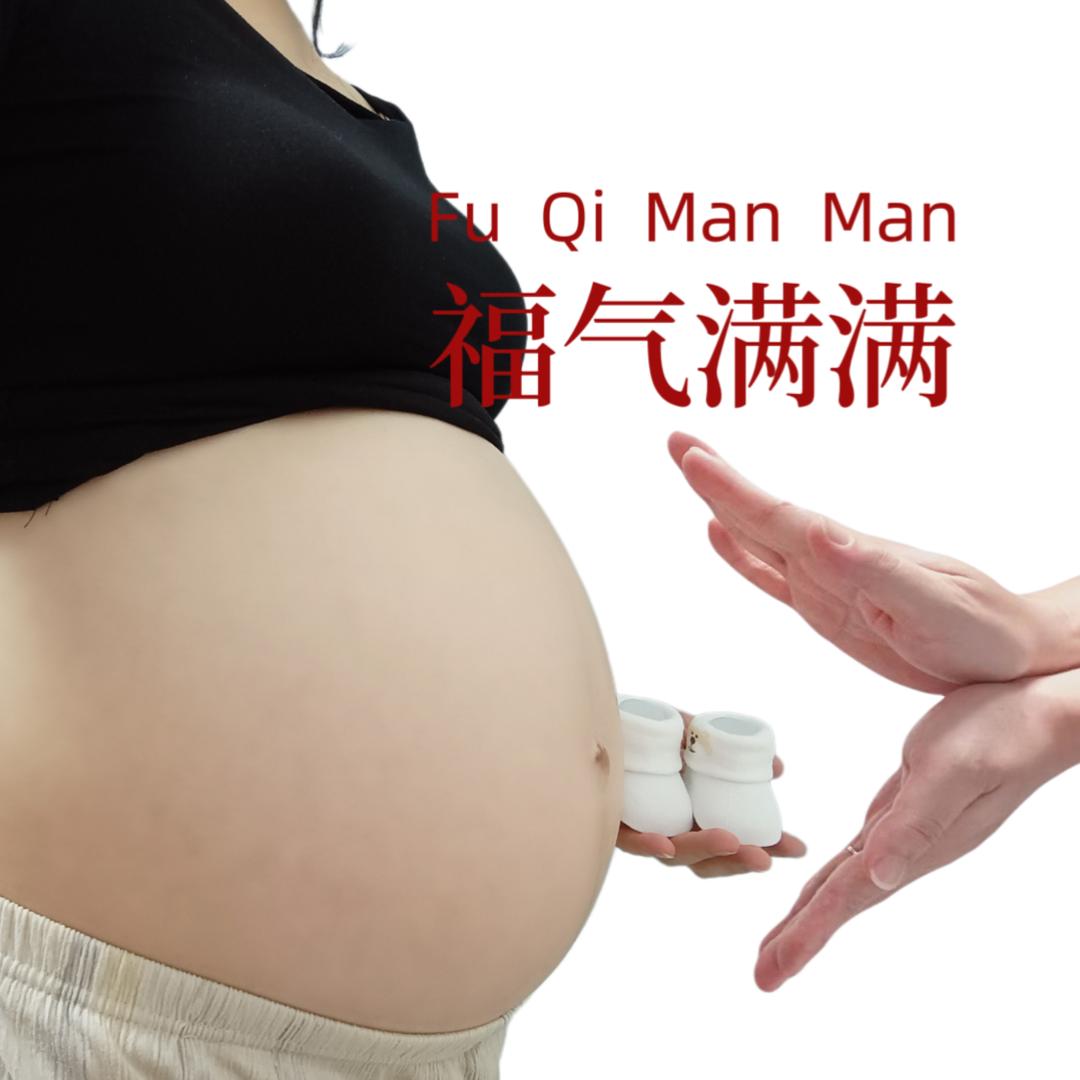 哈比在成长