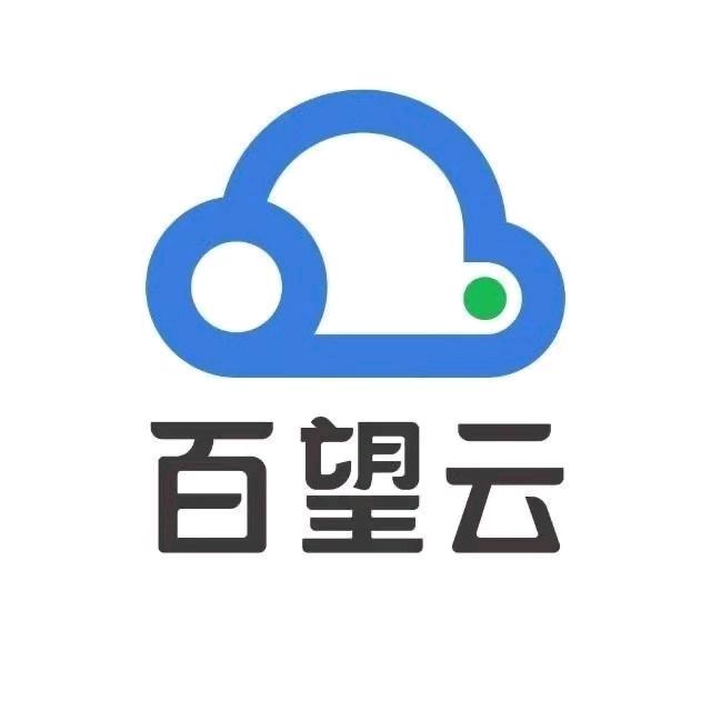 百望乐企数电发票