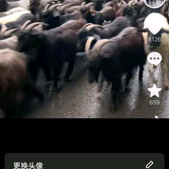西木冯事事顺心