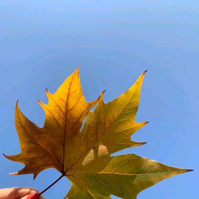 @静