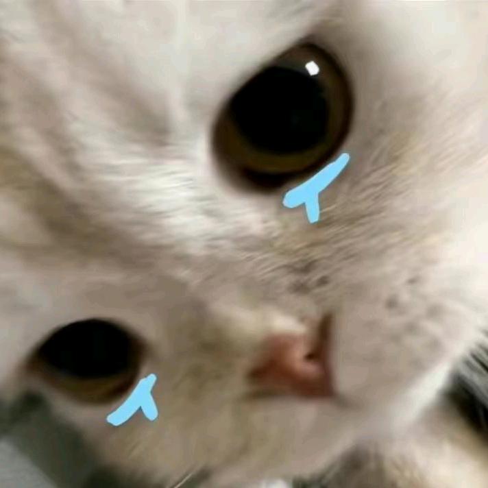 茶茶怪
