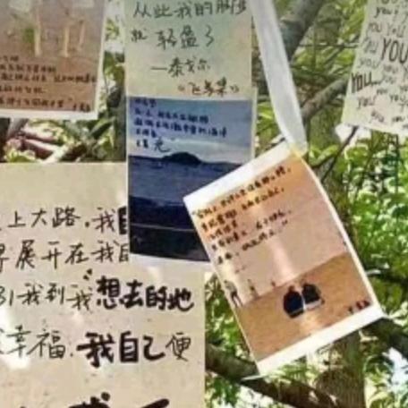 新疆塔城的广西小陳