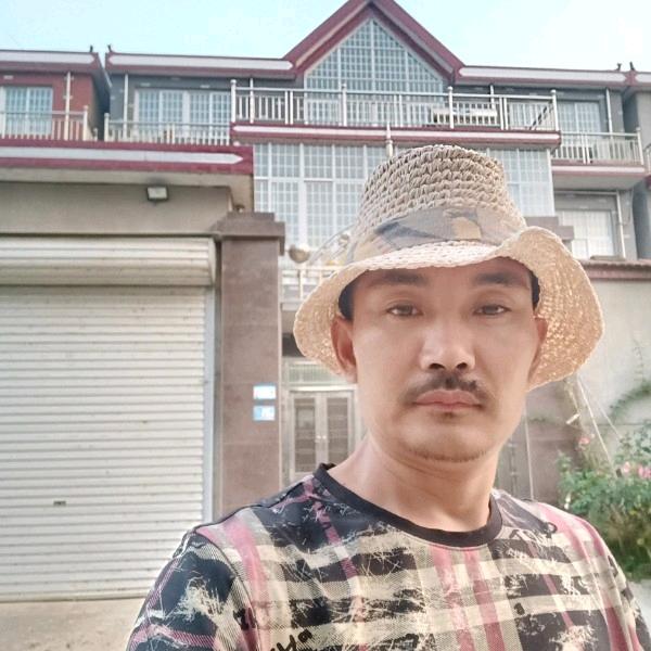 金叶银杏(丁)