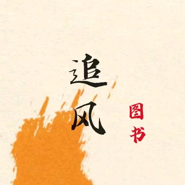 追风图书