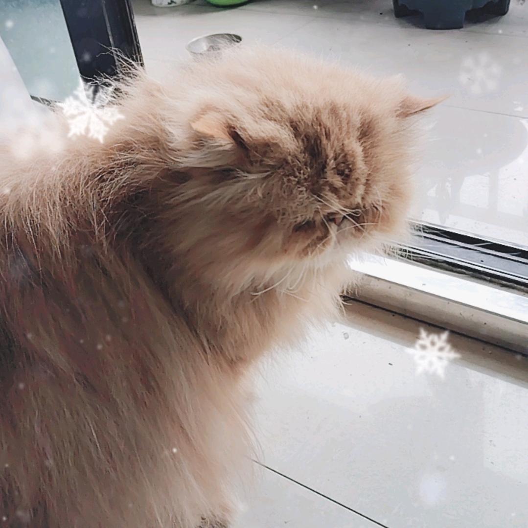 红粉粉