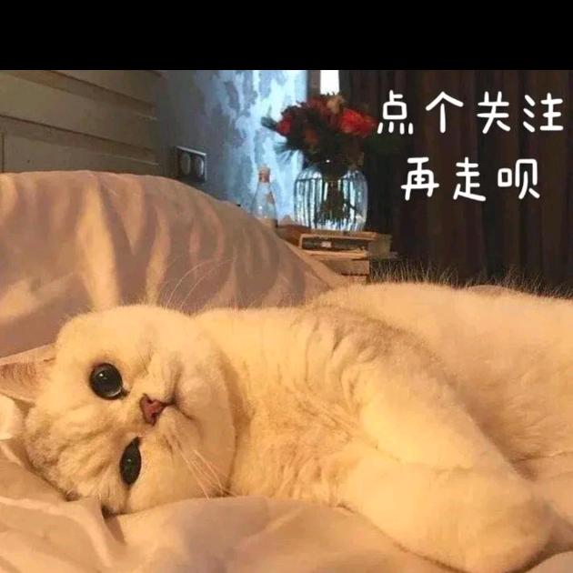糯米团子~