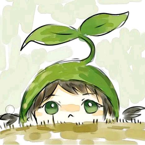 是小佳佳呀