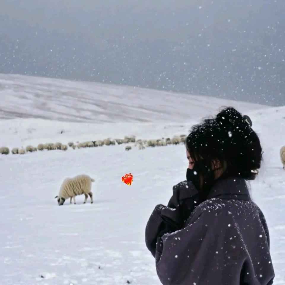 ࿐ཆོས་སྒྲོན🧸
