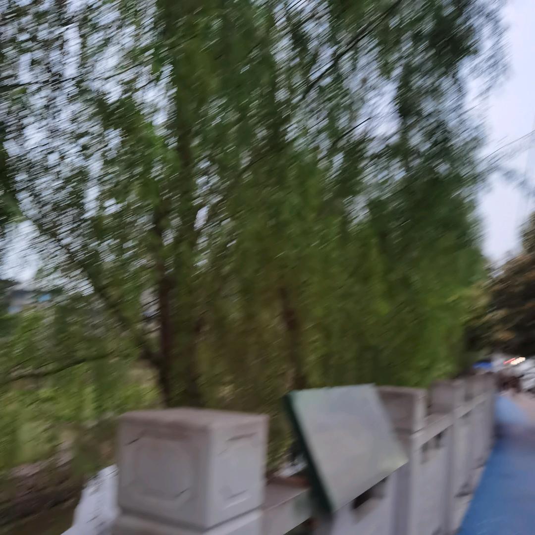 杨杨得意