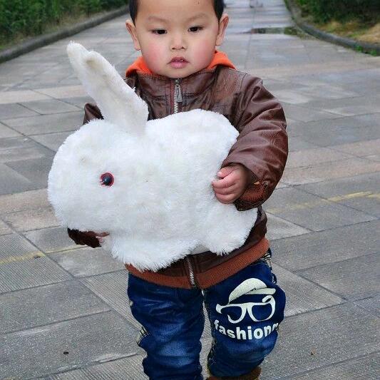 异乡游子