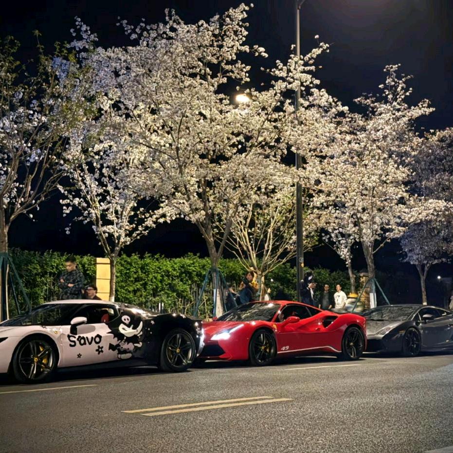 【十一】