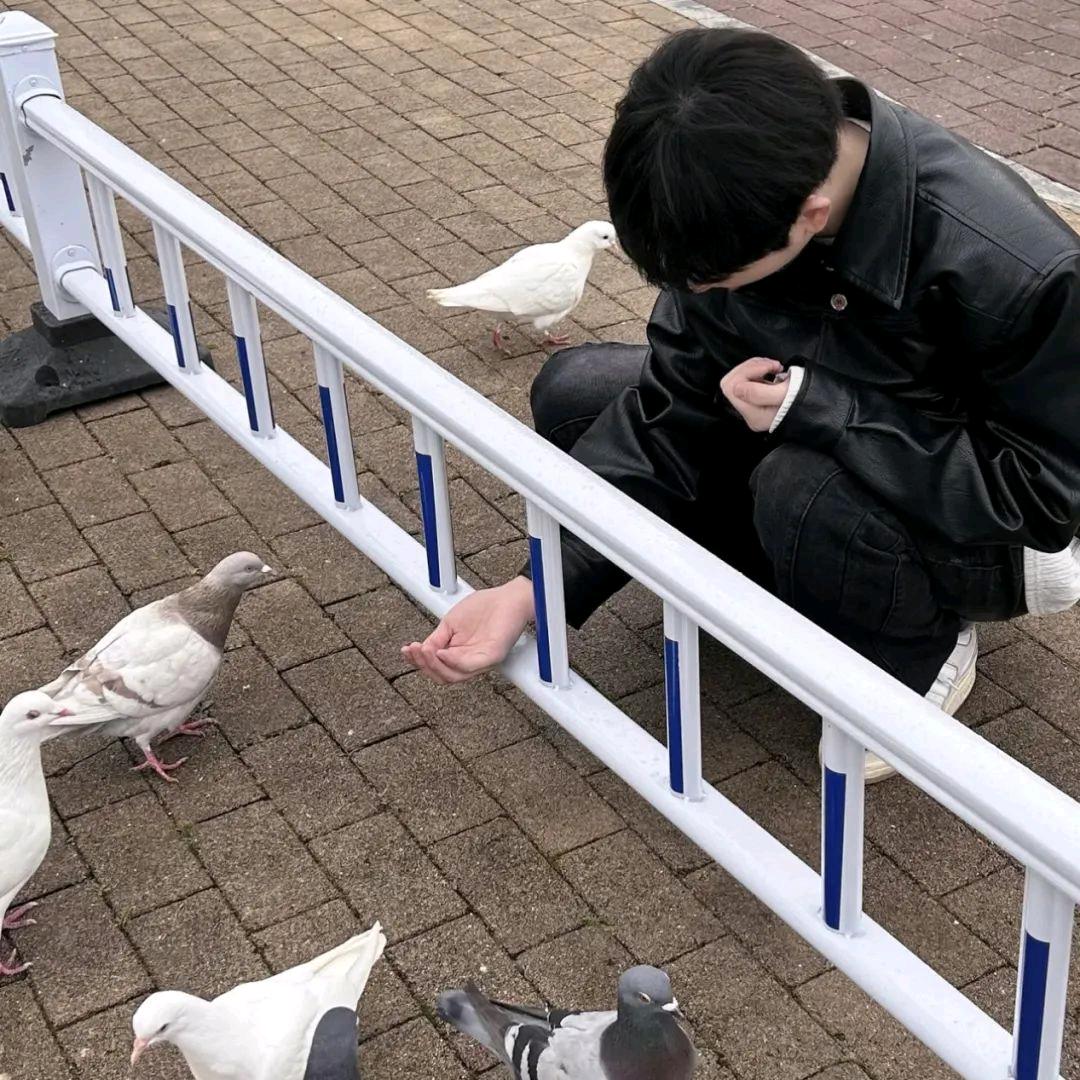 渣渣辉