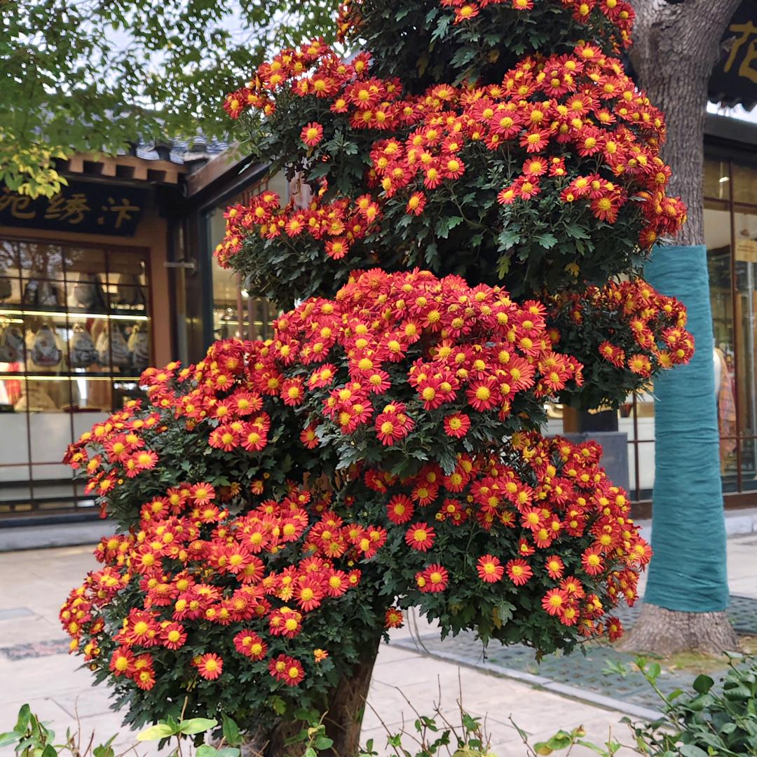 ℳঞ余生🍒随心꧔ꦿ້໌ᮨ࿐