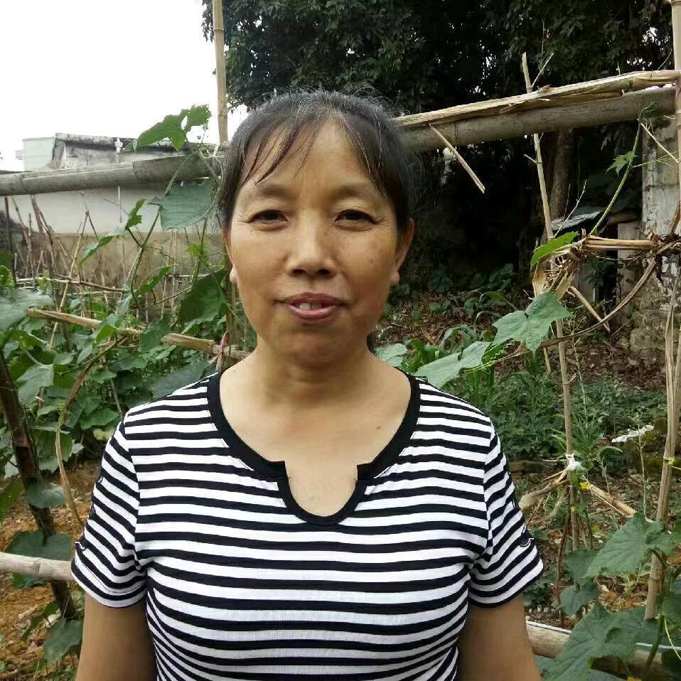 家芬姐首播晚上8点20