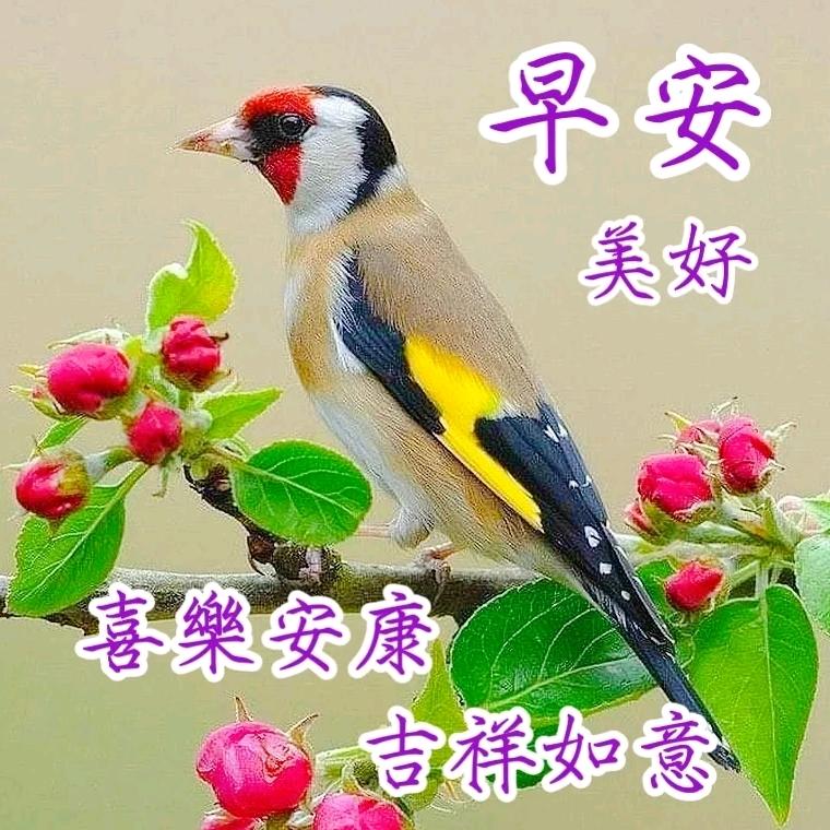 许新百货