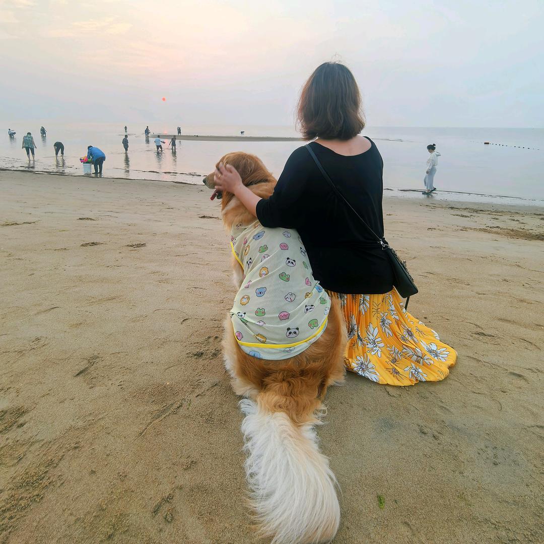 🌻鲁班不是卤蛋🌻