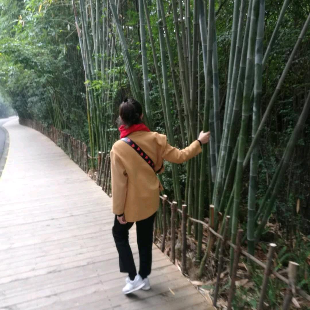 蚊子不叮儿 .