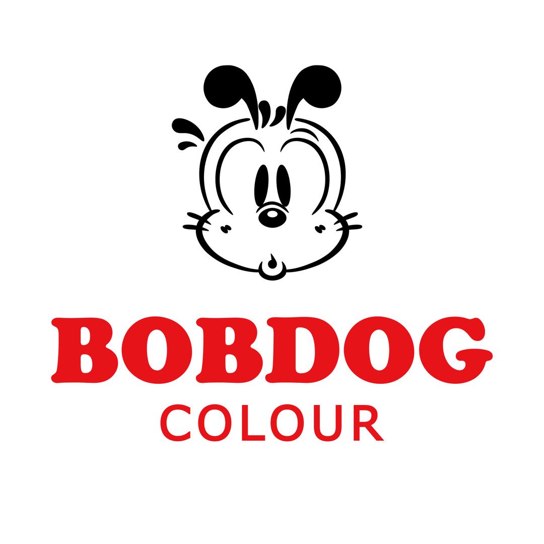 BOBDOG巴布豆童鞋甄选店