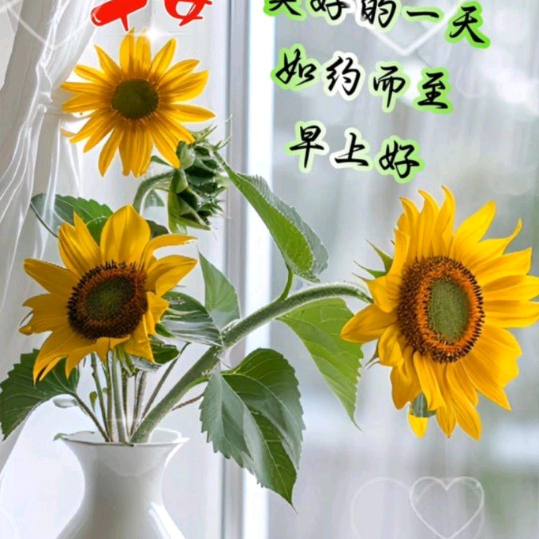 思念