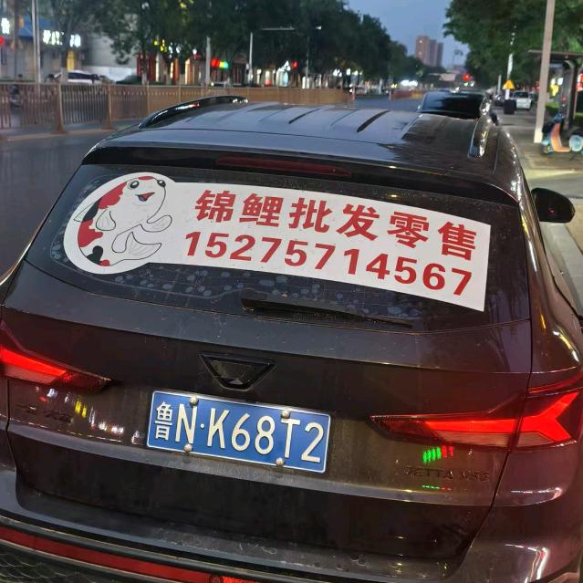 德州市铁西锦鲤养殖（渔翁🐠）