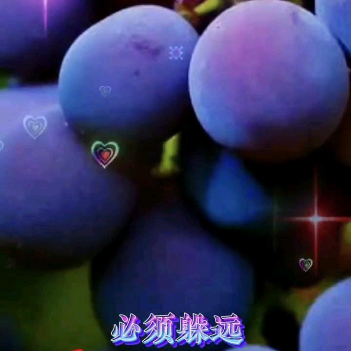 杨孝年