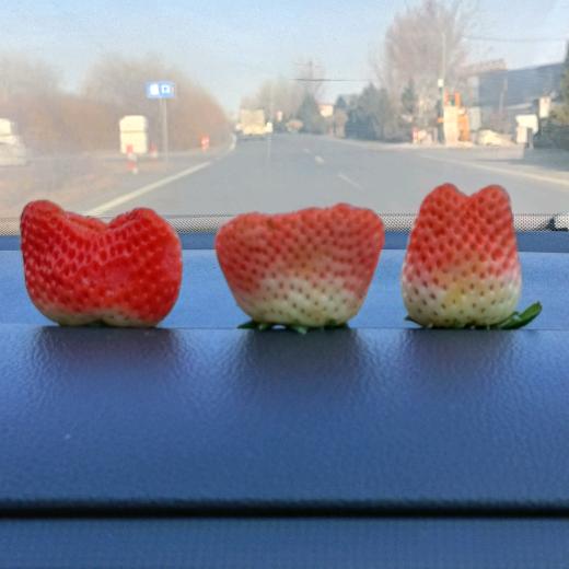 我的幸福刚刚好