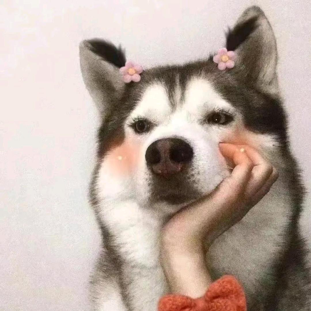 皮皮搞笑