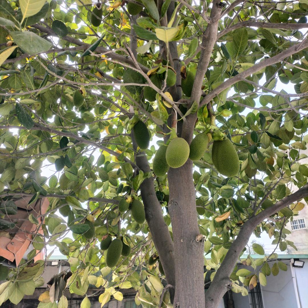 爱我请别伤害我
