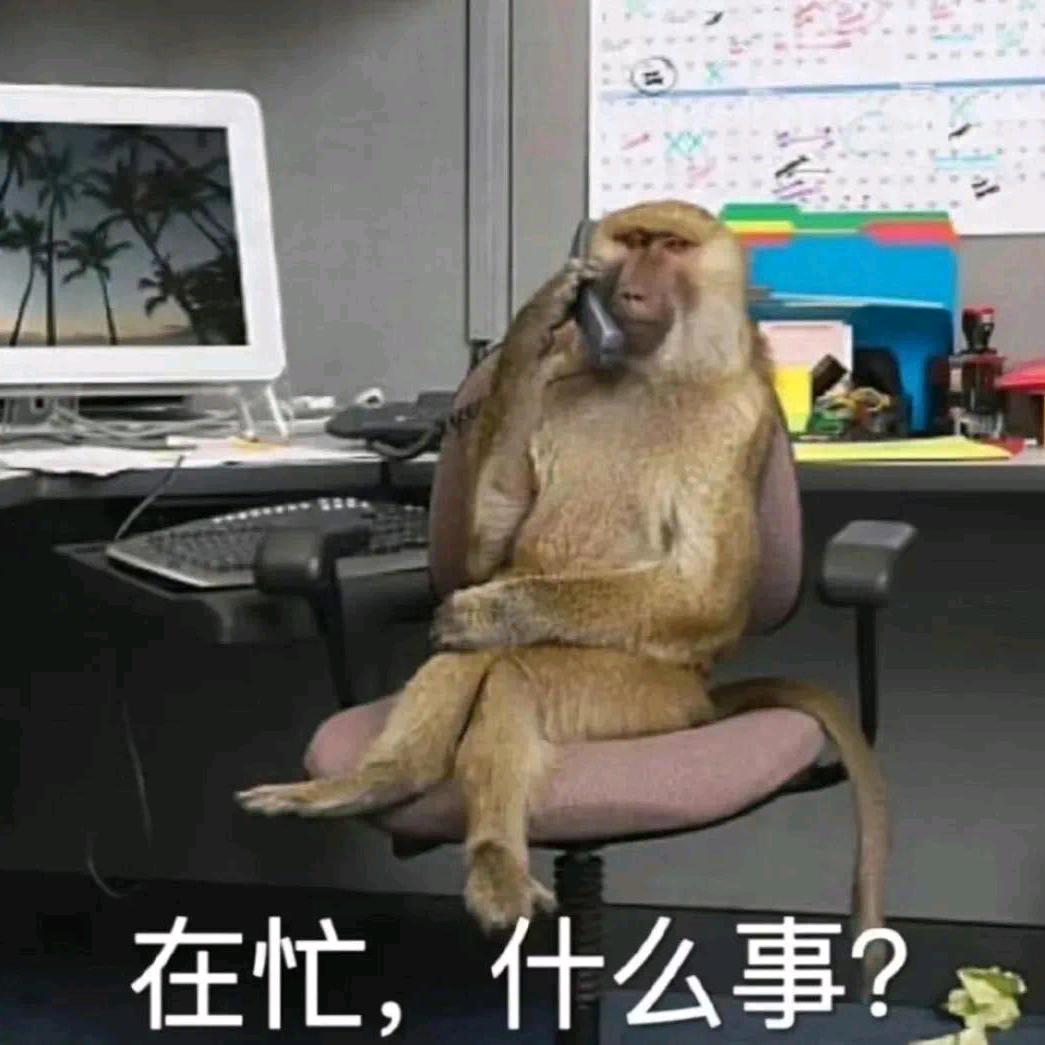 叫我吗喽