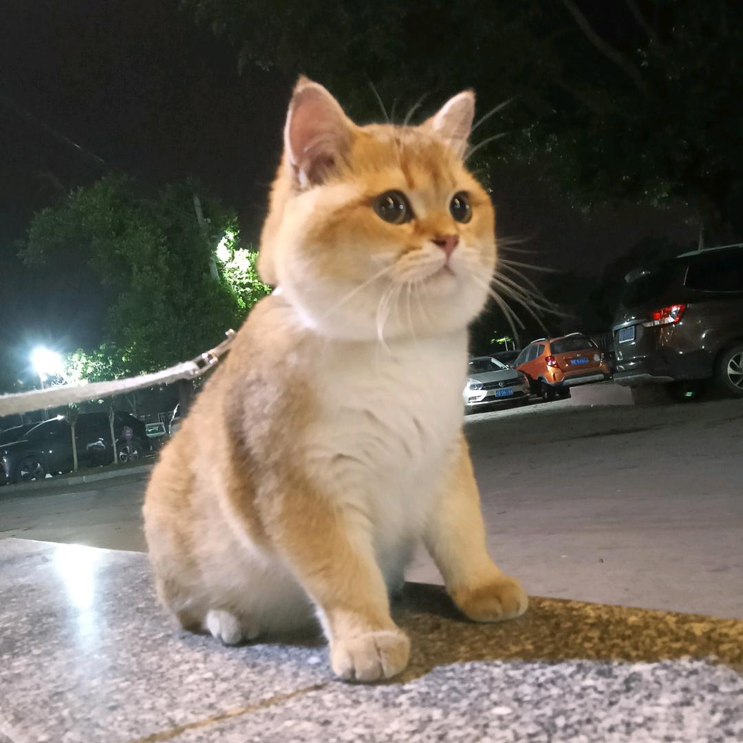 十月
