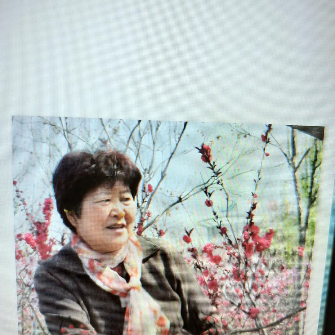小鱼儿