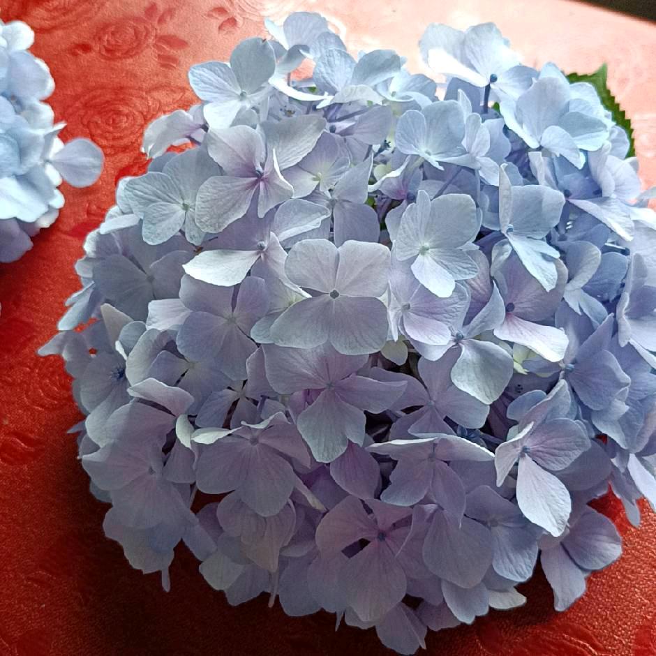 时间，，，，，