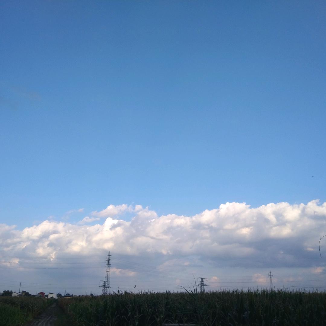 用户7789777040735