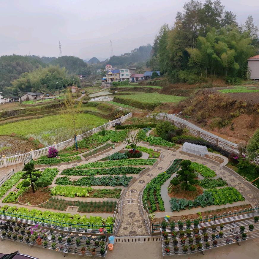 绿茵田园