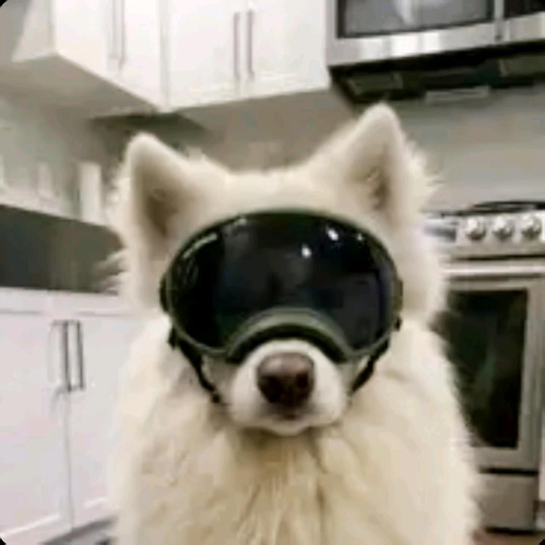 嘻嘻嘻嘿嘿嘿