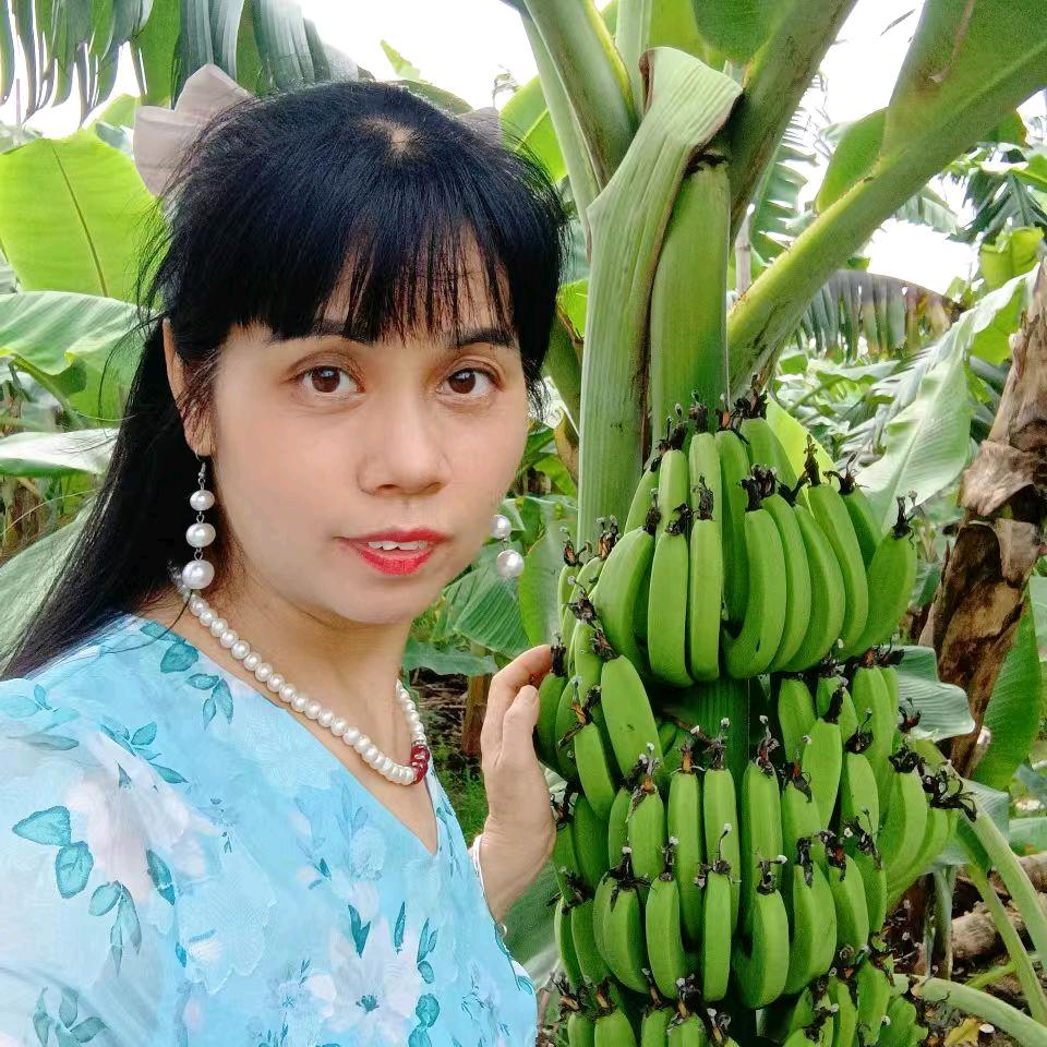 英子姐