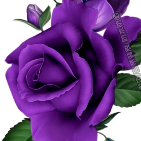 👉疼我的人在那👈